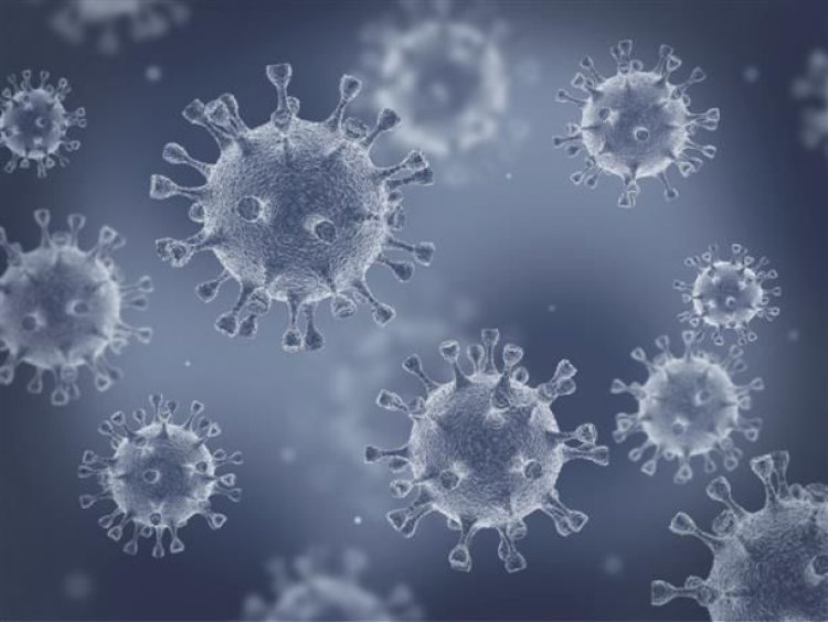 Study reveals how viral infections interact with human bodies