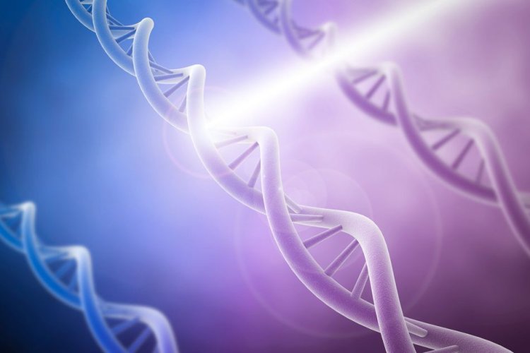 Gene-editing provides hope for patients with inherited disorders: Study