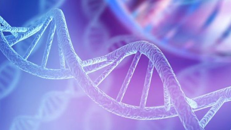 YKT6 gene variants may cause novel genetic disorder: Study