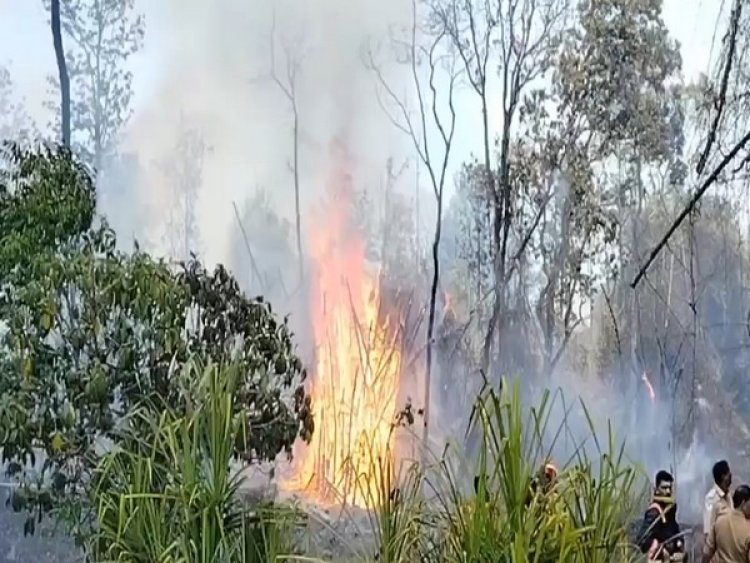 Kerala: Forest fire breaks out in Wayanad