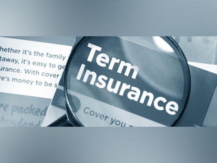 Understanding the Tax Benefits of Term Insurance Plans