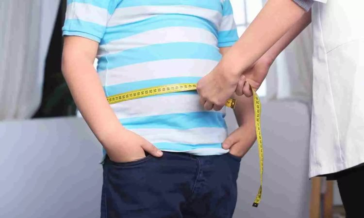 Waist-to-height ratio more effective than BMI for obesity diagnosis: Study