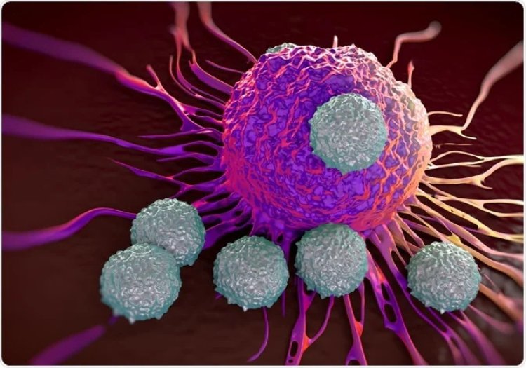 Researchers discover new T cells, genes related to immune disorders