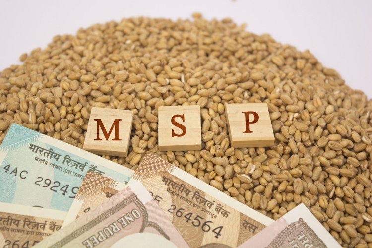 Ahead of Budget's presentation, Congress demands legal guarantee for MSP