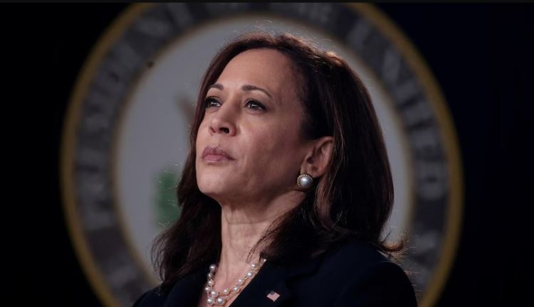 Indian Americans happy as Kamala Harris likely to be next choice for prez