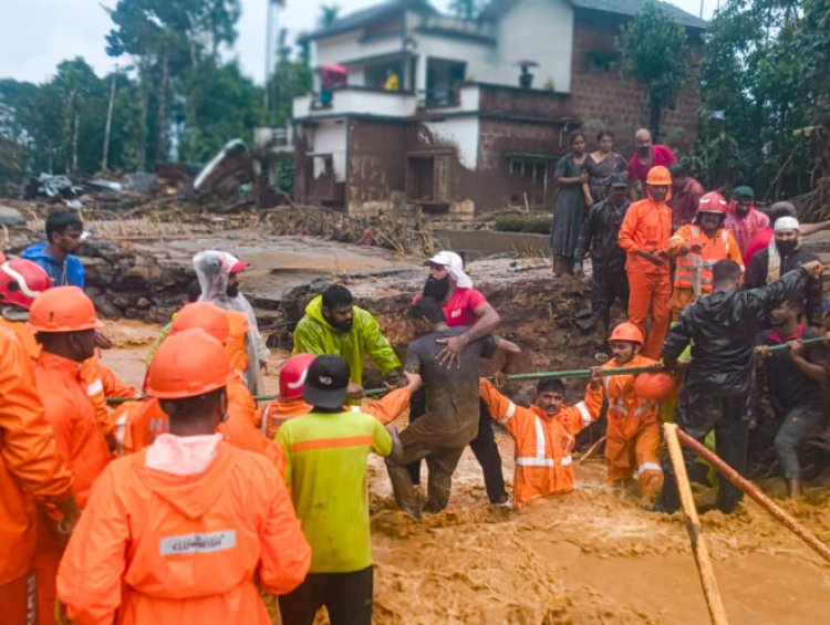 Wayanad landslides: Death toll rises to 84, 116 injured