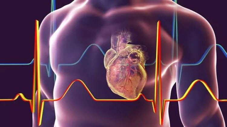 Study finds new source of cardiac inflammation