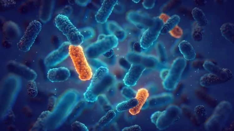 Researchers discover molecular mechanism for bacterial infection