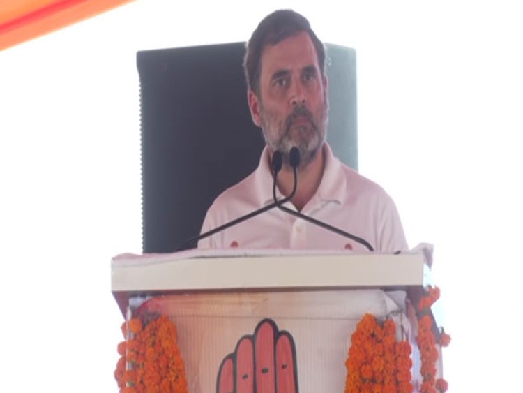 "System of employment has been destroyed", says Rahul Gandhi; hits out at PM Modi, Haryana govt