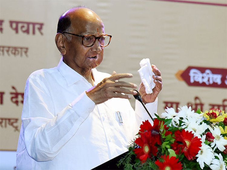 "Important for Marathi, other languages to   have elite language status": NCP-SCP chief Sharad Pawar