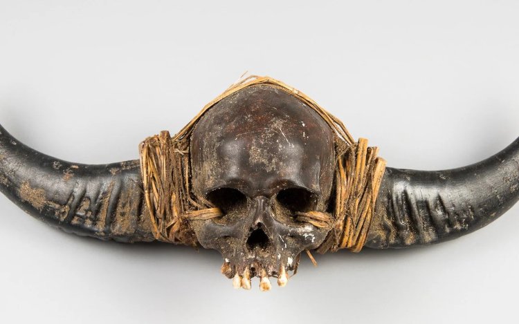 UK auction house pulls Naga 'Human Skull' from online sale after outcry