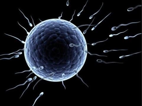 Sperm with damaged DNA can cause repeated miscarriage.