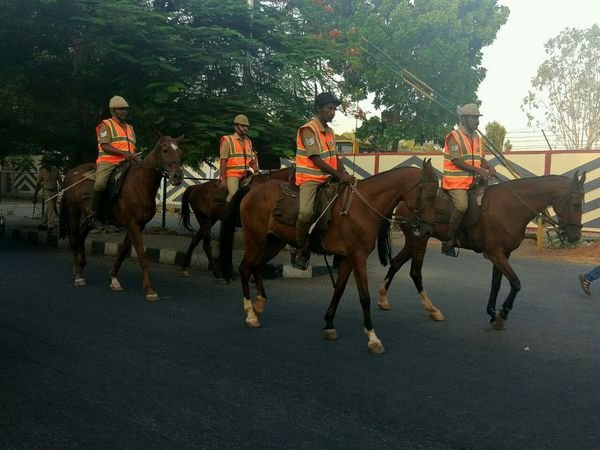 Delhi Horse Show gets underway