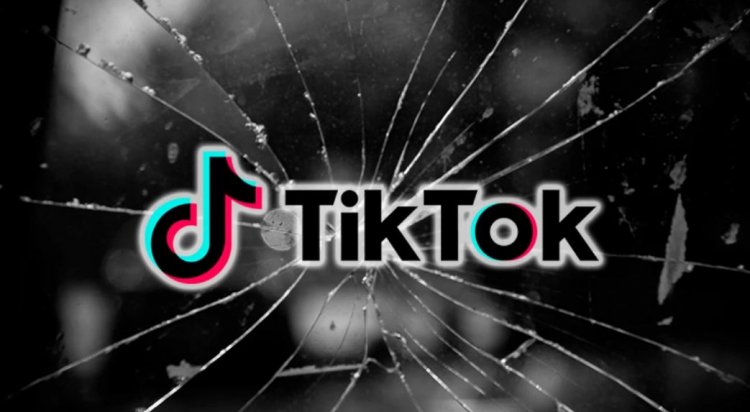 Google and Apple block TikTok app in India