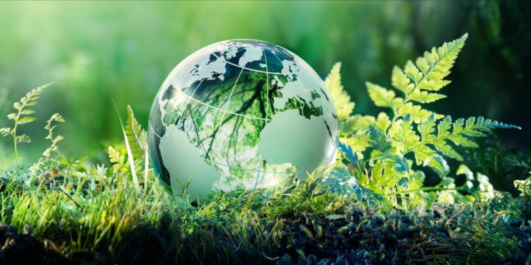 World Earth Day: Significance and the reason behind its celebration