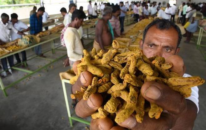 100 turmeric farmers from Telangana, TN to contest from