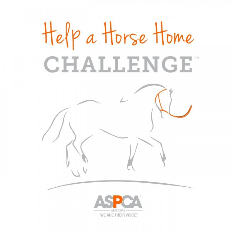 More than 170 Equine Organizations Compete in ASPCA Help a Horse Home Challenge(SM) to Increase Equine Adoptions Nationwide
