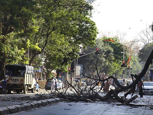 HC refuses to vacate stay imposed on BMC's Tree Authority