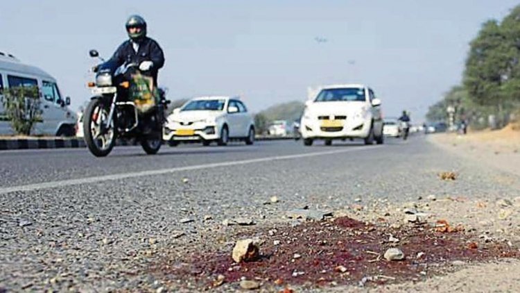 Murder case eyewitness shot dead on highway