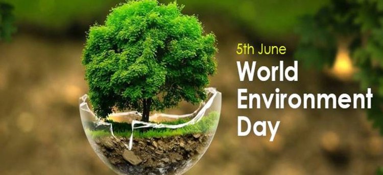Top 5 things you can do to celebrate this World Environment Day