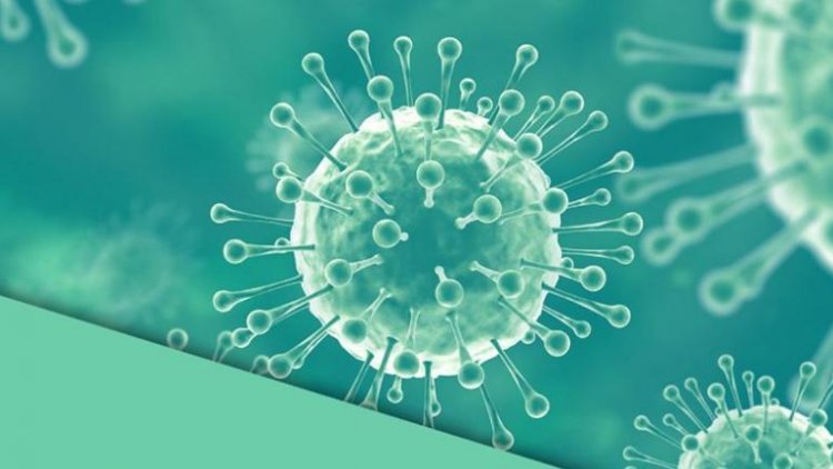 Nipah virus: Six suspected patients test negative