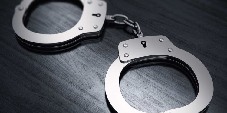 Bike taxi firm director held for investment fraud