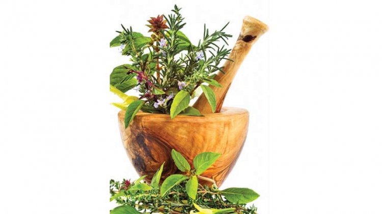 1mg's Ayurveda Resource - Scientifically Traditional