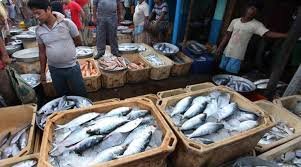Fish imports tested for formalin at Goa border