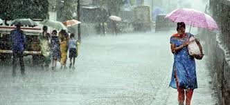 Heavy rains lash east Rajasthan