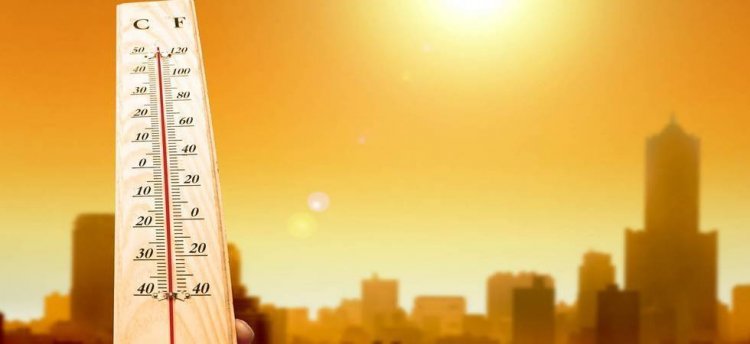 Max temp hovers slightly above normal in Haryana, Punjab