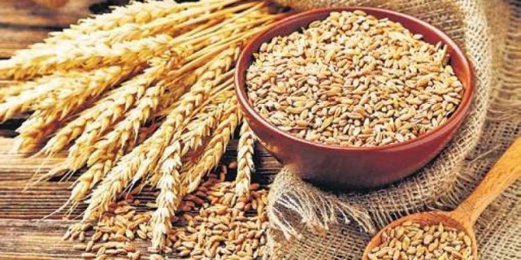 No change in food grain prices
