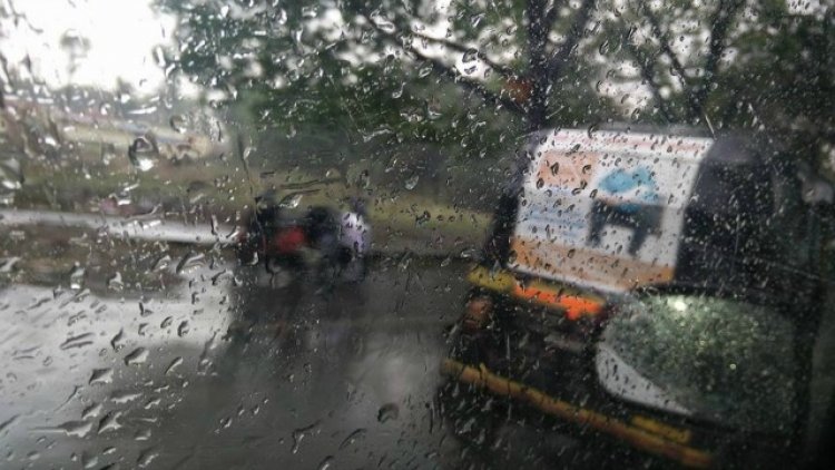 Rain lashes parts of Haryana, Punjab