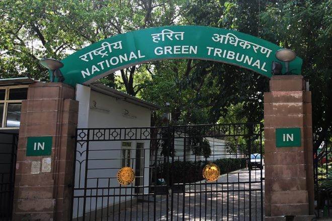 NGT seeks report on illegal commercial establishments in UP