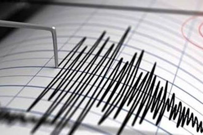 Four tremors jolt Palghar; man killed in house collapse