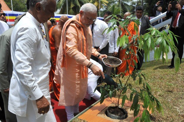 PM participates in tree plantation drive