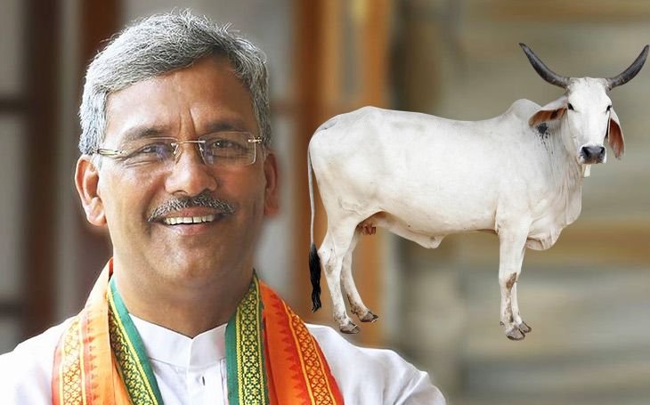 Cow only animal that exhales oxygen: Rawat