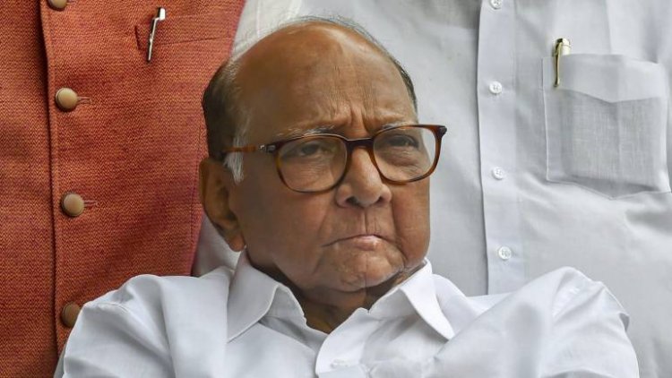 Agreement with Cong on 240 Maha Assembly seats: Sharad Pawar