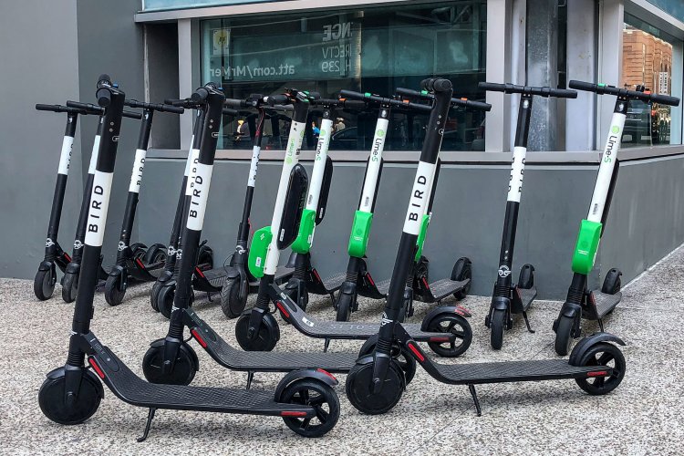 Bird e-Scooters Now Available in Calgary