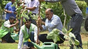 Over three lakh saplings planted across Delhi