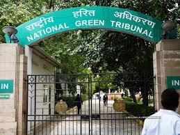 Plea against Essar Power MP on fly ash leak; NGT directs petitioner to approach its panel