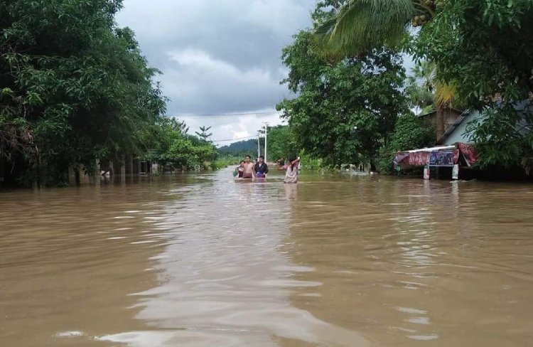 'BBMB successfully handled one of worst floods'