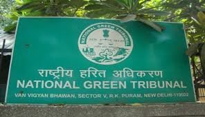 Give unique ID numbers to water bodies: NGT panel