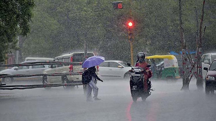 Several parts of Rajasthan receive rainfall