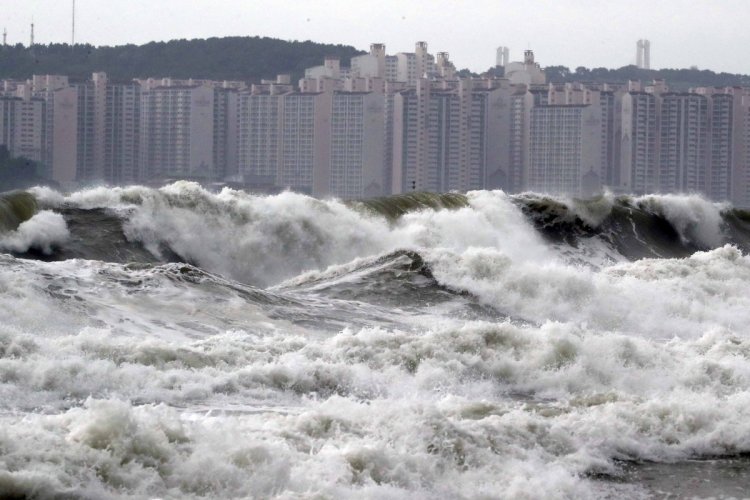 Typhoon leaves 2 dead, thousands of S. Korea homes powerless