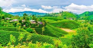 Kerala to host homestay & rural tourism meet