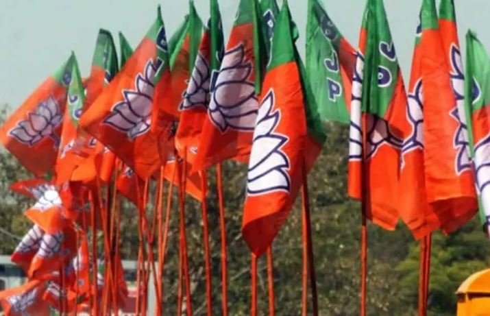 BJP's Yuvraj Singh wins Hamirpur bypoll