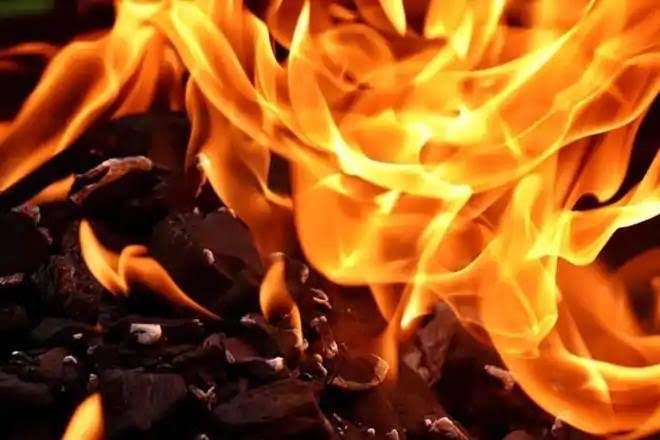 Woman Tahsildar's driver succumbs to burns