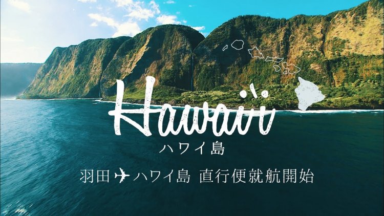 Number of Chinese visitors to Hawaii continues to decline