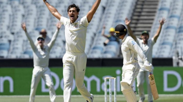 Australia grab four quick wickets as New Zealand unravel