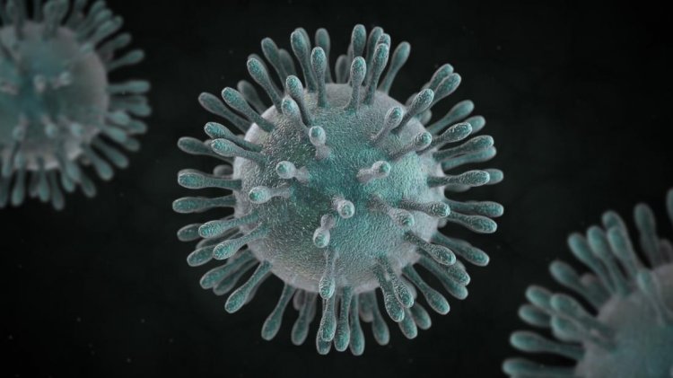 Chinese researchers identified the infectious agent as "coronavirus"